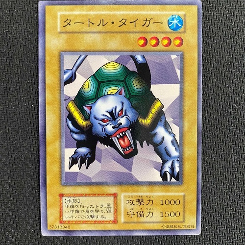 タートル・タイガー
