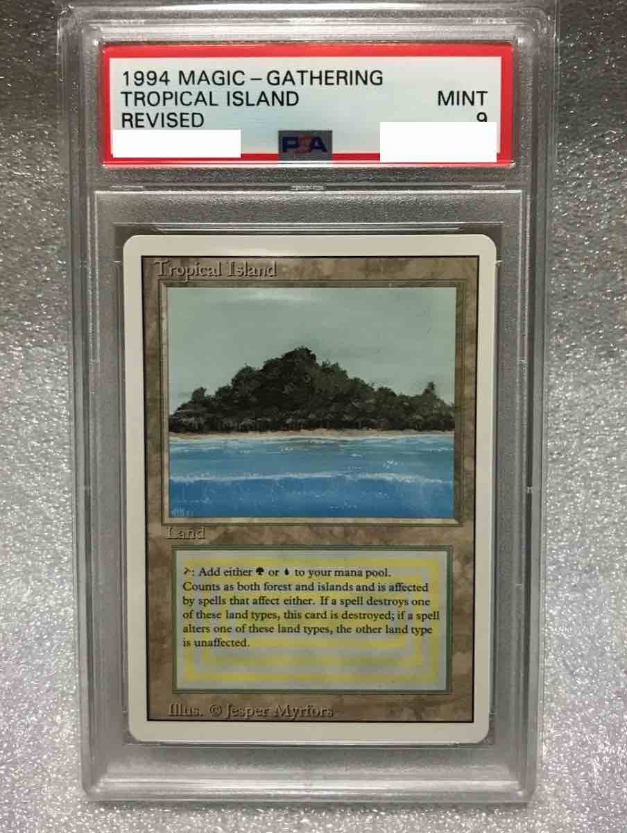 MTG 3ED リバイズド Plateau 英語版 1枚 Plateau 3ED 英語版 NM リバイズド MTG