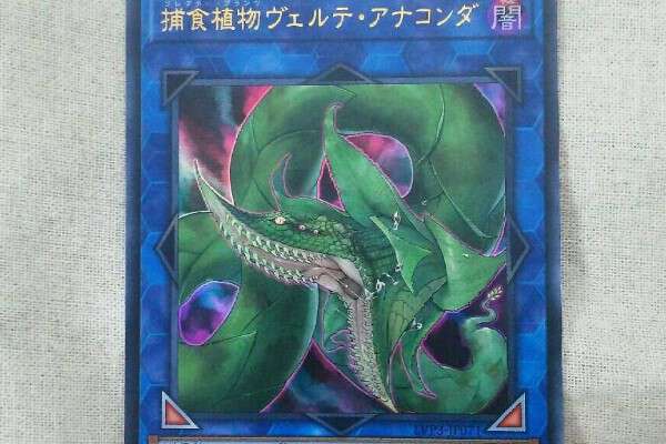 【遊戯王】捕食植物ヴェルテ・アナコンダの買取価格を10社徹底比較