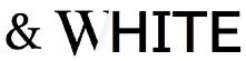 &WHITE 心斎橋店